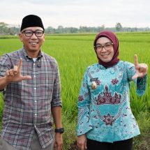 Tinjau Buay Bahuga, Gubernur Rahmat Mirzani Djausal Tawarkan Solusi Konkret Infrastruktur dan Pemulihan Lahan Tani