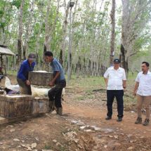 PTPN I Akselerasi Produksi Karet Melalui Standarisasi Operasional Regional