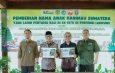 Gubernur Mirza Perkenalkan Anak Harimau Sumatera Puspa dan Muli Sikop di Taman Satwa Lembah Hijau
