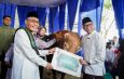 Momentum Idul Adha, Pemprov Lampung Dorong Kepedulian dan Kesejahteraan Masyarakat
