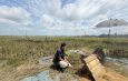 BULOG Tembus Serapan 3 Juta Ton Gabah/Beras Petani, Lampung Sumbang 400 Ribu Ton