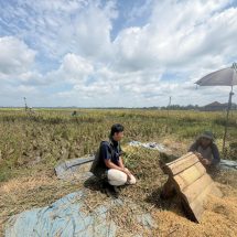 BULOG Tembus Serapan 3 Juta Ton Gabah/Beras Petani, Lampung Sumbang 400 Ribu Ton