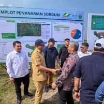PTPN I (Persero) Paling Siap Dukung Ketahanan Energi!