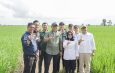 Pemprov Lampung Perkuat Dukungan Ke Petani Dari Teknologi Hingga Pengendalian Hama