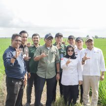 Pemprov Lampung Perkuat Dukungan Ke Petani Dari Teknologi Hingga Pengendalian Hama