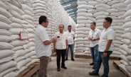 BULOG Lampung Perkuat Stok, Siapkan Penyaluran Bantuan Pangan Tambahan