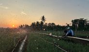 Tarif Listrik Triwulan III 2026 Tidak Naik, PLN Siap Jalankan Kebijakan Pemerintah