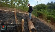PTPN I Tempuh Jalur Hukum atas Dugaan Pengrusakan Aset di Kebun Pangandaran