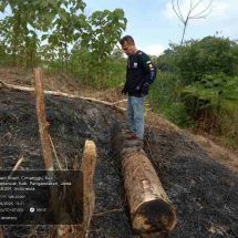 PTPN I Tempuh Jalur Hukum atas Dugaan Pengrusakan Aset di Kebun Pangandaran