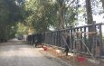 Pemerintah Kucurkan Ratusan Miliar Bangun Pagar Pembatas Way Kambas Mubazir, Ribuan Pohon Ditebang