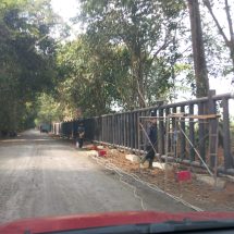 Pemerintah Kucurkan Ratusan Miliar Bangun Pagar Pembatas Way Kambas Mubazir, Ribuan Pohon Ditebang