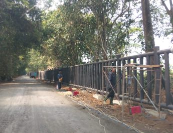 Pemerintah Kucurkan Ratusan Miliar Bangun Pagar Pembatas Way Kambas Mubazir, Ribuan Pohon Ditebang