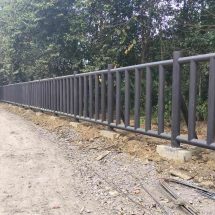 WALHI Nilai Pembangunan Pagar TNWK Pemborosan di Tengah Efisiensi Anggaran