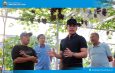 Dari Kebun Melon dan Anggur di Natar, Bupati Egi Dorong Tumbuhnya Desa-Desa Produktif
