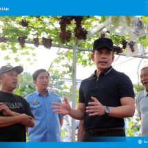 Dari Kebun Melon dan Anggur di Natar, Bupati Egi Dorong Tumbuhnya Desa-Desa Produktif