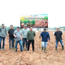 Dukung Program Prabowo, PTPN I Regional 7 Tanam Perdana Demplot Singkong Mukibat