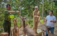 Wagub Jihan Dorong Pengelolaan Hutan Lampung yang Lestari dan Berkelanjutan