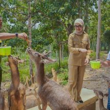 Wagub Jihan Dorong Pengelolaan Hutan Lampung yang Lestari dan Berkelanjutan